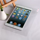 OEM ODM 0.33mm 2.5D Anti Bubble Silicone Coating Tempered Glass Screen Protector for iPad 3