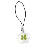 Real Lucky Four Leaf Clover Mobile Phone Charms / Cell Phone Charms and Hand Bag Charms