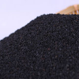 Perfect Quality Black Sesame with High Quality