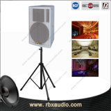 Aq-12 12 Inch Professional Portable Karaoke PA Subwoofer Speaker Boxes