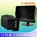 Rearview System with CCD Camera