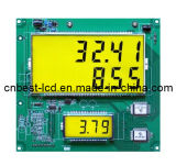 Custom Segment LCD Display for Petrol Pump