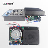 Plate Amplifier Acitive Speaker Amplifier Amplifier for Plastic Speaker
