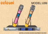 Professional Performance&Show UHF Dual Channels True Diversity Wireless Microphone