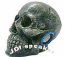 Human Skull Speaker