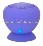 Wireless Bluetooth Speaker for iPhone/Audio Suction Cup Speaker