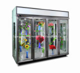 Luxurious High Humidity Flower Refrigerators for Flowers