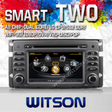 Witson Car DVD Radio Player for Smart Fortwo 2010-2011 (W2-C087)