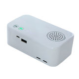 Ozone Generator Air Purifier with USB Power Bank