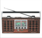 FM/AM/SW1-9 11 Band Radio Music Player (BW-109U)