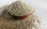 Good Quality Sesame at Lowest Price on Sale