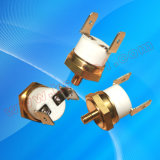 Snap-Action Thermostat (Kain-009)