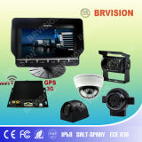 Back up Camera System with 7 Inch Monitor 4 Cameras