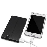 8000mAh Power Bank for Cell Phone and MP3&MP4