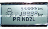 TN Segment LCD Display for Automobile Odometers