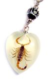 Insect Amber Phone Charms