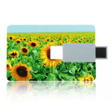 Hot Selling, 32MB-128GB Card USB Flash Disk / USB Flash Drive