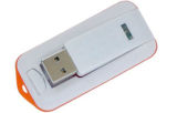 Promotional Gift Custom USB Flash Drive