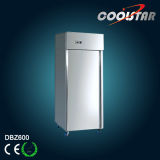 Commercial Refrigerator with Stainless Steel (DBZ600F)