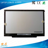 13.3 Inch Wxga LCD Display B133ew07 V2 for 1280*800 Laptop