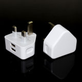 Hot Sale BS USB Power Adapter/USB Phone Charger/Portable Mobile Charger