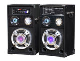 Professional Audio Loudspeaker Bluetooth USB Stage Speaker (TM-10S)