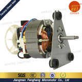 Home Appliance Spare Parts 220V Electric Motors