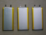 Li-Battery, Light Battery, Battery Pack, Rechargeable Battery