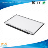 13.3 Inch Laptop TFT LCD Panel B133xtn01.5 1366*768 LCD Display Tn LED Lvds LCD Display