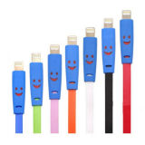 Colorful Smile Flash USB Cable for iPhone 5 5g 5c 5s, iPad 4 Mini
