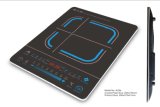 Induction Cooker with Skin Touch Control (A11)