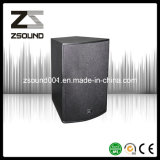 Professional Loudspeaker Audio System
