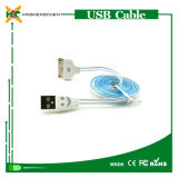 Wholesale USB Cable with LED Light for iPhone 4