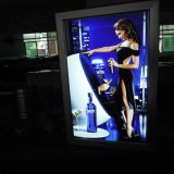 LED Advertising Product with Advertising Material for LED Backlit Sign Box