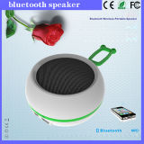 Mini Outdoor Bluetooth Speaker with Lower Price