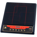 Induction Cooker (T09)
