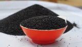 Top Quality Black Sesame with High Quality