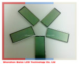 Tn Custom Heat Seal LCD Display (BZTN901265)