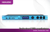 Professional Audio (DSP-20)
