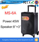 45W Portable Speaker with USB Port Ms-6A