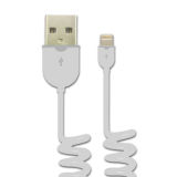 Reversible USB to Lightning Cable