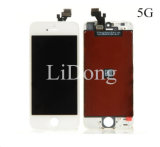 Mobile Phone Screen for iPhone 5g