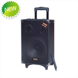 Rechargeable Battery DJ Speaker Box with USB/SD (Q10)
