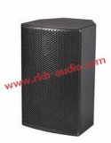 (OEM) Plywood Speaker / PRO Audio (RX-10)