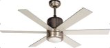 6 Blades Ceiling Fan with Remote Control