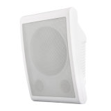 Wall Speaker Wall Mount Box Speaker (R102T)