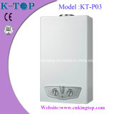Wall Mounted Instant Gas Water Heater