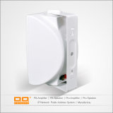 OEM Wall Speaker with Switch with CE
