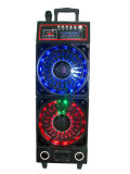 Stage DJ Speaker with Colorful Light 6300th