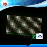 Dual Color P10 LED Module Outdoor LED Display